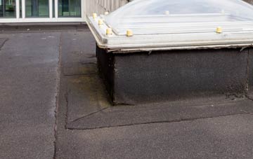 disadvantages of Warwicksland flat roofs